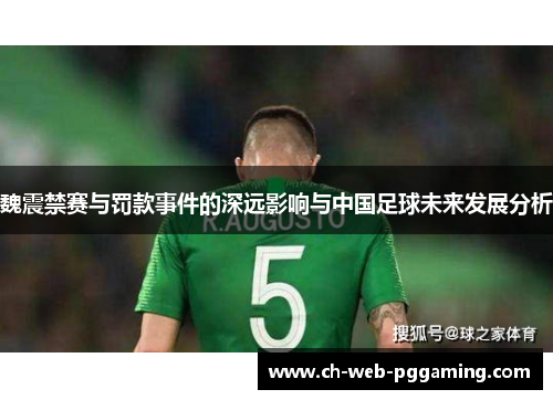 魏震禁赛与罚款事件的深远影响与中国足球未来发展分析